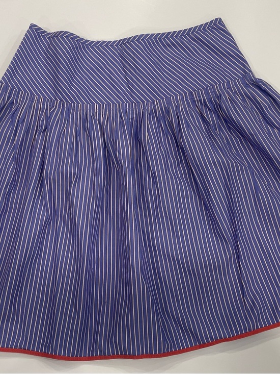 J. Crew Dresses & Skirts - J. Crew Blue and White Pinstripe Circle Skirt with Orange Trim - Size 6